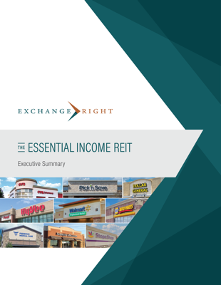 Executive Summary
